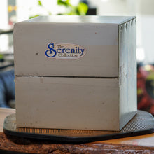 Load image into Gallery viewer, New in Box Shell Lamp Spencers Gifts Exclusive The Serenity Collection

